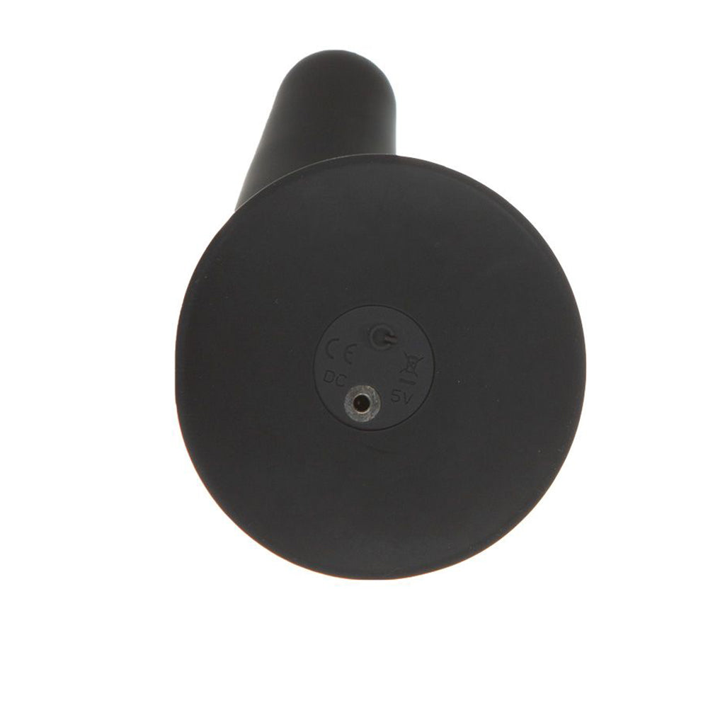 Remote Control 5 Inch Vibrating Dildo and Harness